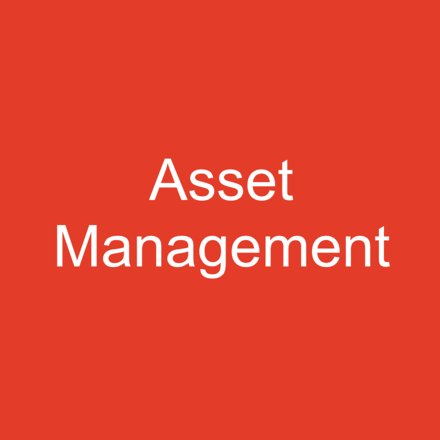 Brief Guide to Asset Management